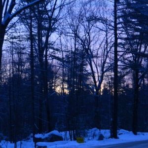 Meet your Posher, Lily